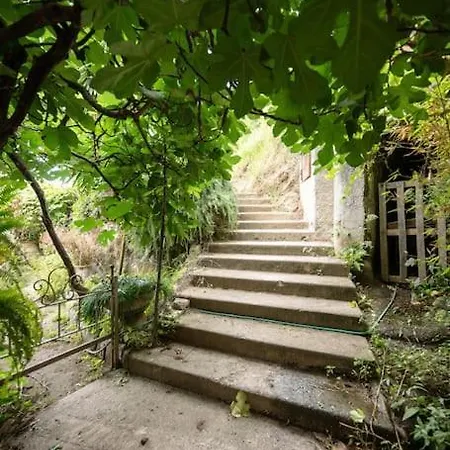 Daire La - Centre - Jardin - Parking Privee - Climatisation *